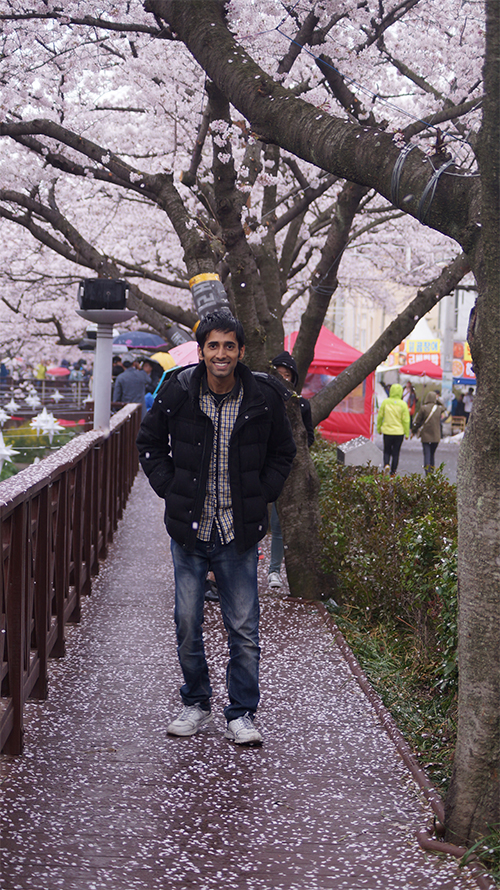 170321_cherry blossom13_in.jpg